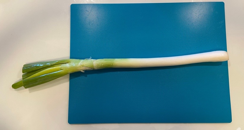 ネギ1