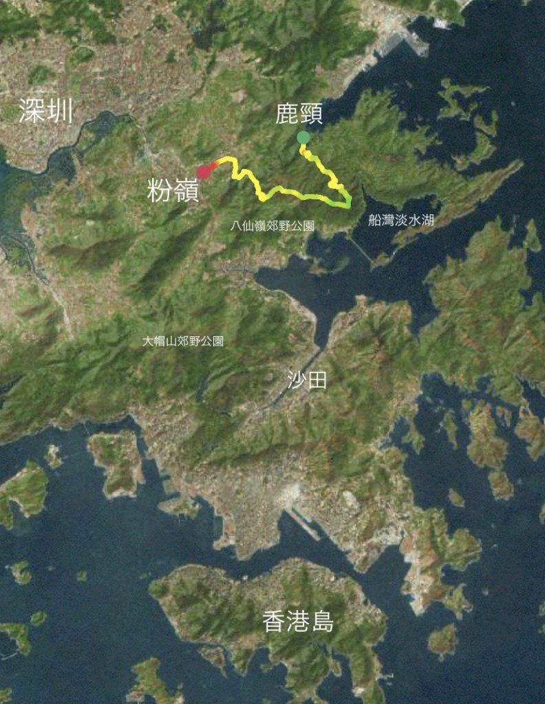 HKウィルソン地図