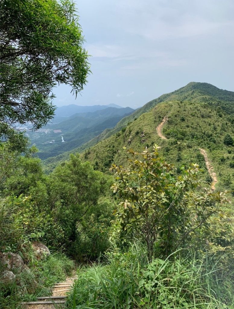 HKマクリホース八仙嶺前山