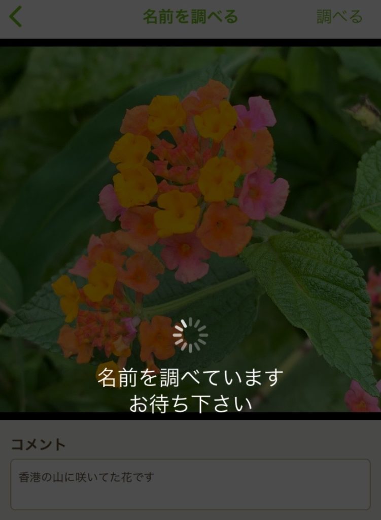 GS教えて３