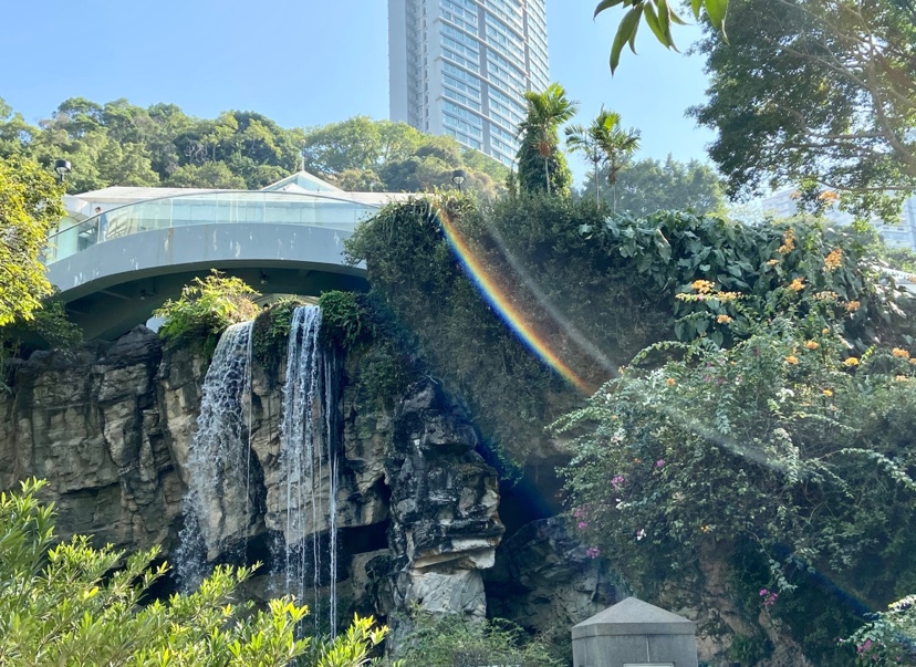 香港公園散歩温室