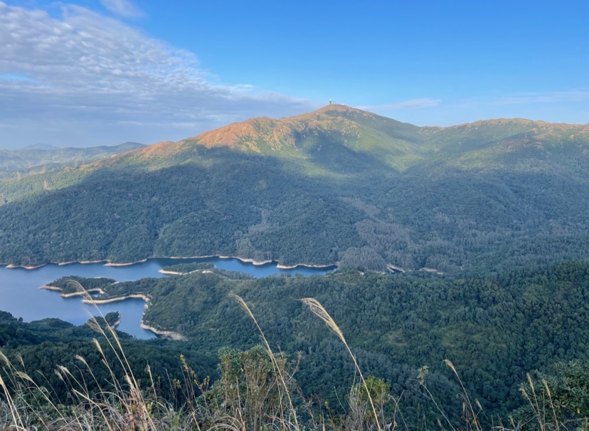 大帽山沢登り針山景色