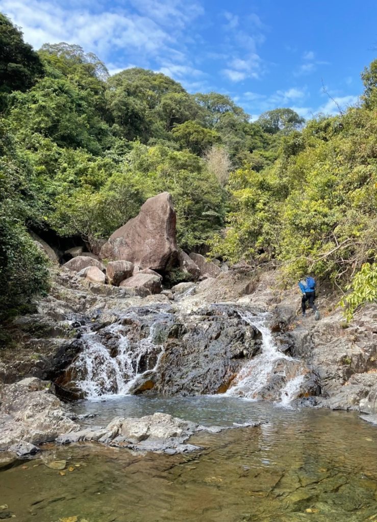 大帽山沢登り鳥