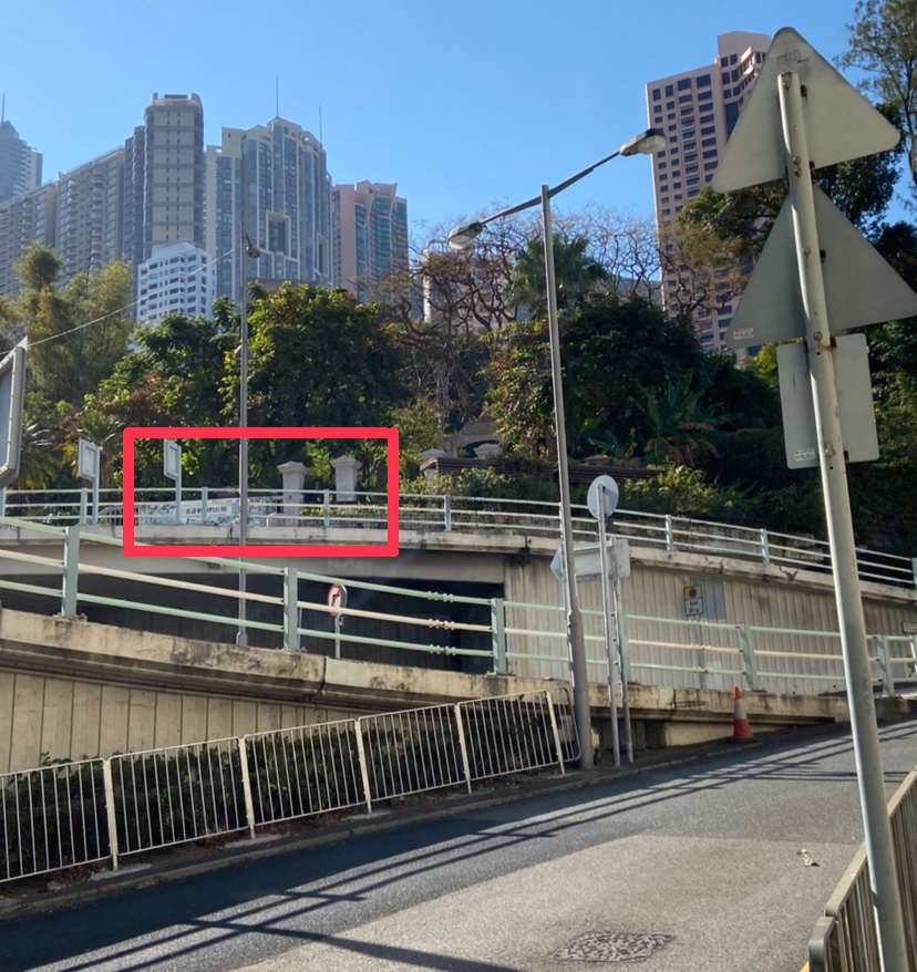 香港動植物もうすぐ