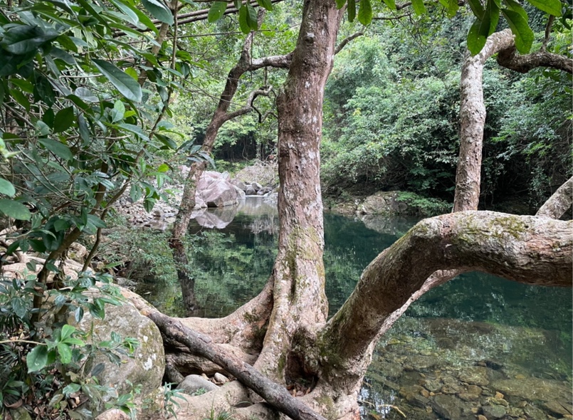 大帽山沢登り１